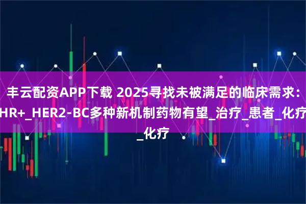 丰云配资APP下载 2025寻找未被满足的临床需求:HR+_HER2-BC多种新机制药物有望_治疗_患者_化疗