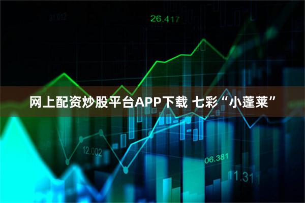 网上配资炒股平台APP下载 七彩“小蓬莱”