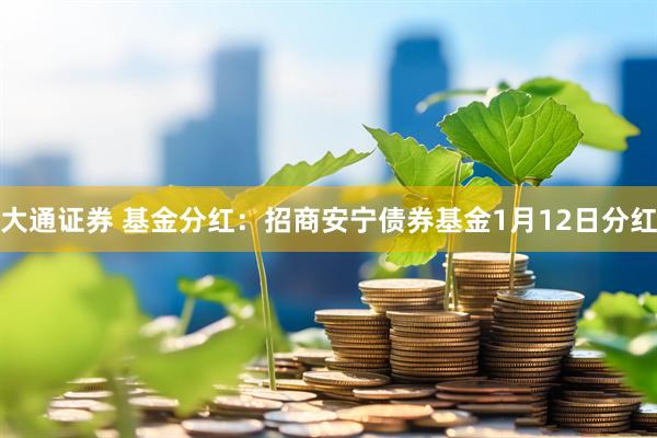 大通证券 基金分红：招商安宁债券基金1月12日分红