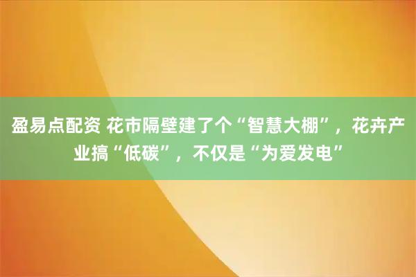 盈易点配资 花市隔壁建了个“智慧大棚”，花卉产业搞“低碳”，不仅是“为爱发电”